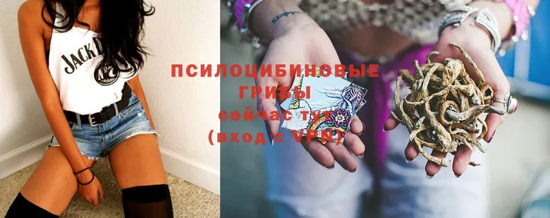 Галлюциногенные грибы Magic Shrooms  где продают   Яровое 